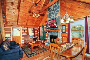 TV, fireplace, DVD player, books