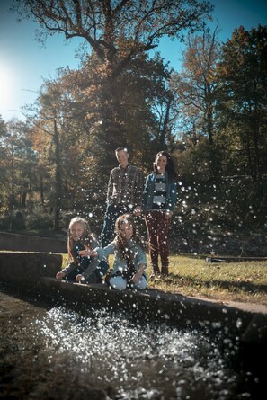 Miscellaneous - Pets, hot tub, screen porch, wifi, fenced yard, king bed, town (Berkeley Springs)