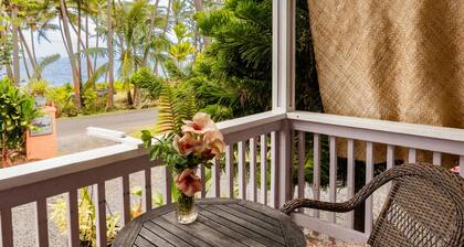 Dolphin Cottage w/ AC @ Kehena Beach, Hawaii
