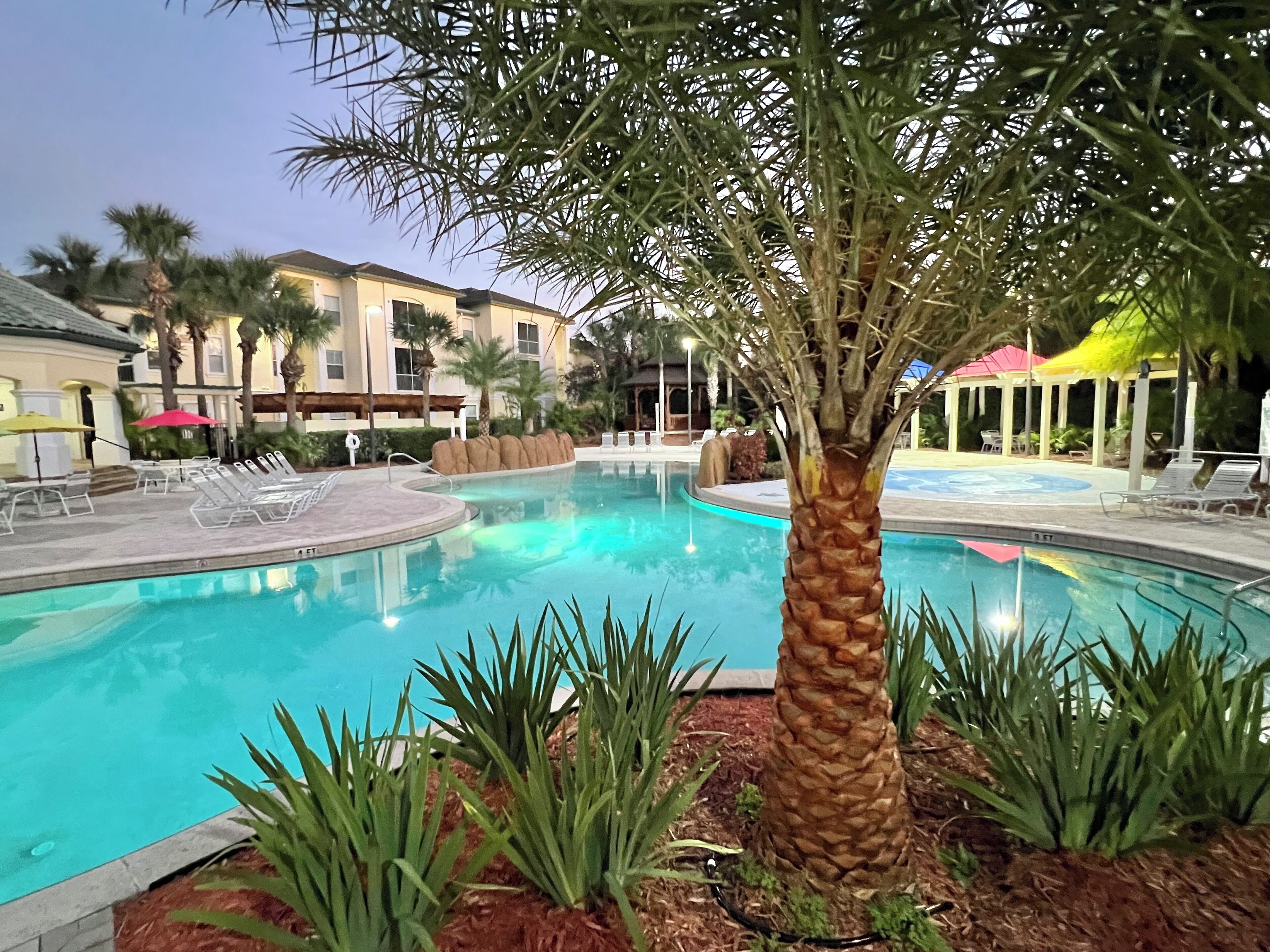 A swimming pool with lounge chairs and palm trees.