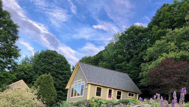 A house surrounded by a lush garden with various flowers and trees.