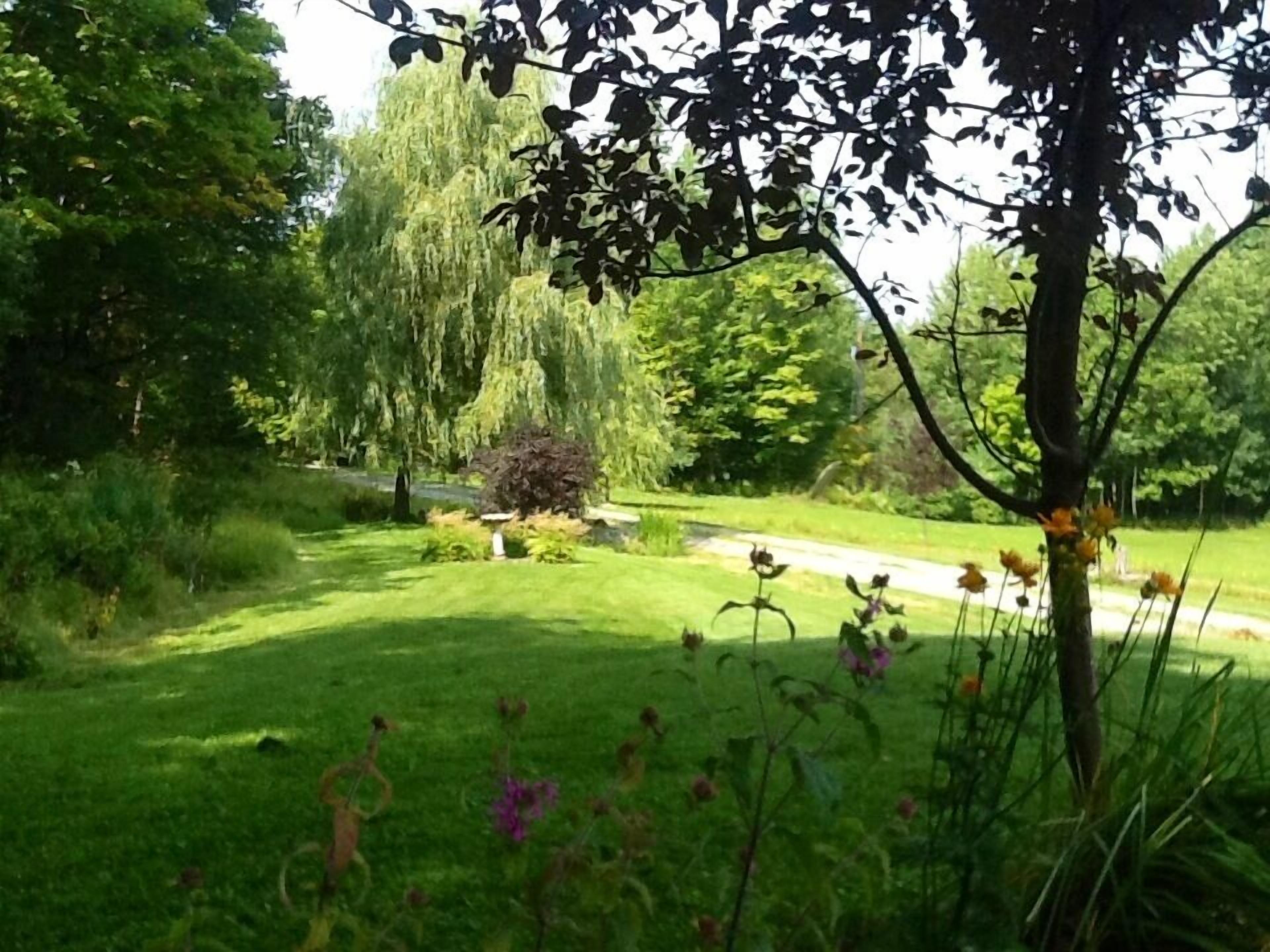 A lush garden with a variety of plants and trees, a small pond, and a pathway.