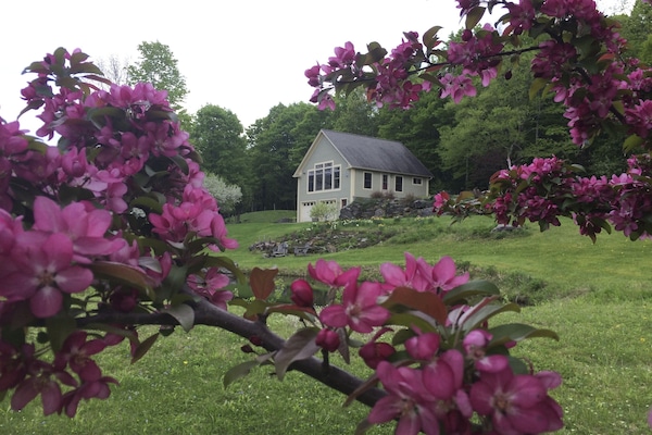 Spring in Vermont...soon to become a glorious summer.