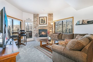 Smart TV, fireplace, DVD player, books