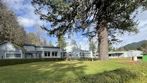 Un edificio moderno con un césped grande y un árbol destacado al frente.