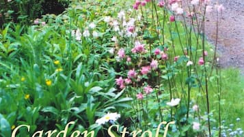 Àrea exterior de l'allotjament