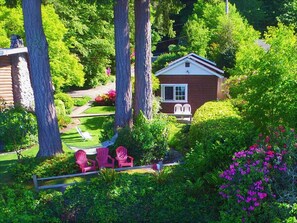 Property grounds - Magical Puget Sound Beachfront Cottage --Panoramic View +Kayaks, Hiking, Birds! (Olympia)