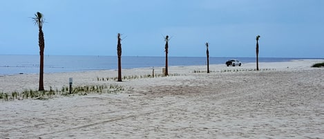 海滩