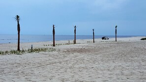Une plage de sable avec des palmiers et un véhicule blanc garé sur le sable.