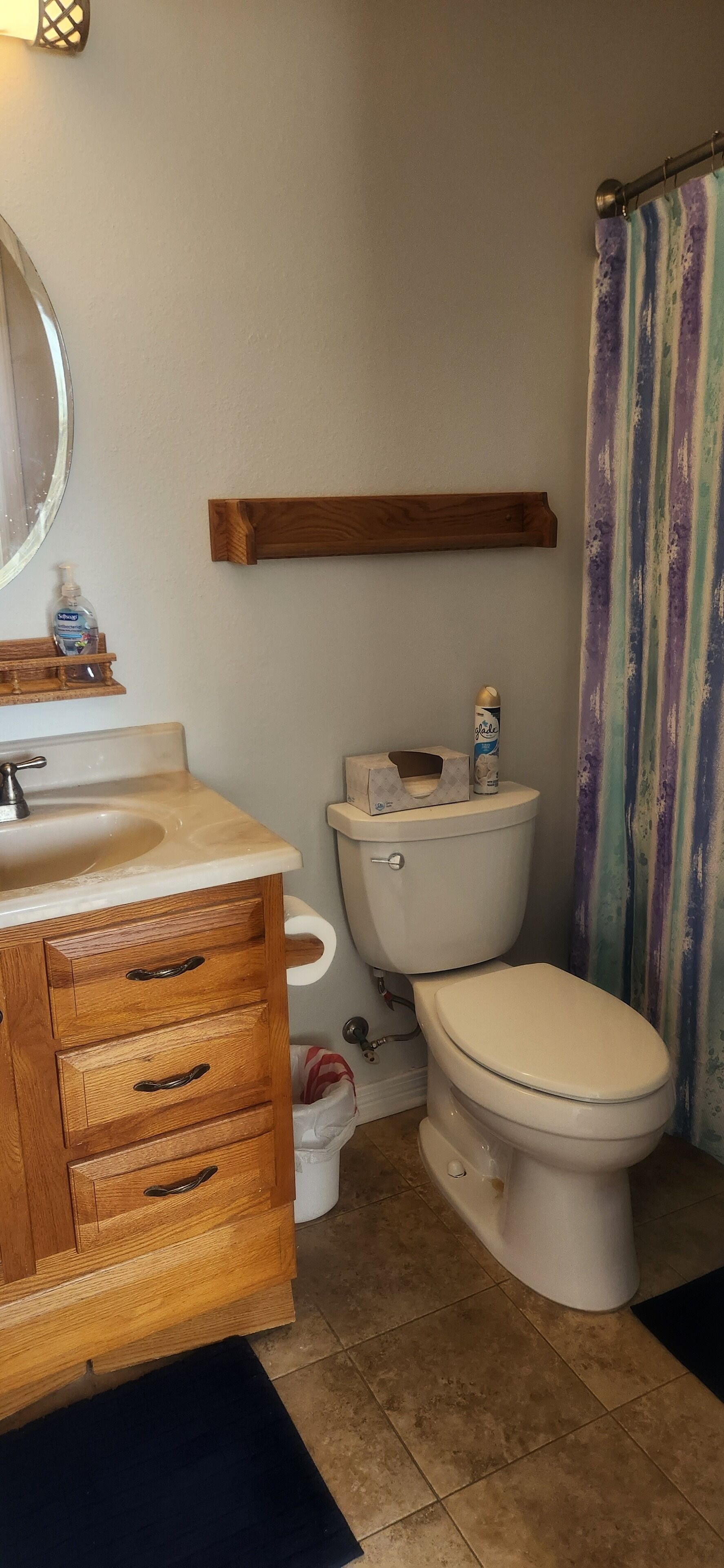A bathroom with a wooden vanity, a toilet, and a shower curtain.