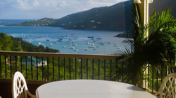 Outdoor dining - Great Coral Bay View! solar power and central to beaches and hiking (St John)