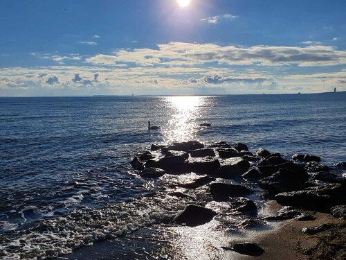 Baltic Sea flair - large, idyllic apartment near the beach with garden