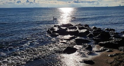 Baltic Sea flair - large, idyllic apartment near the beach with garden