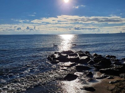 Baltic Sea flair - large, idyllic apartment near the beach with garden