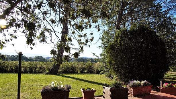 Property grounds - Relax with privat pool and garden (Campagnatico)