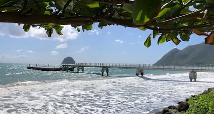 Villa 250 m from the Diamond Beach