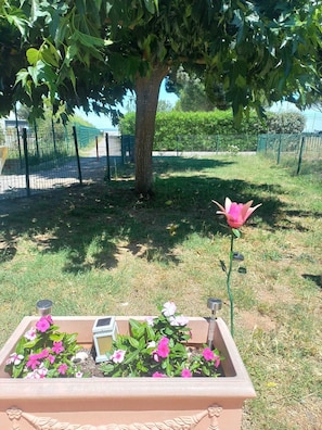 Um jardim com uma árvore, um canteiro de flores cor-de-rosa e uma estrutura metálica.