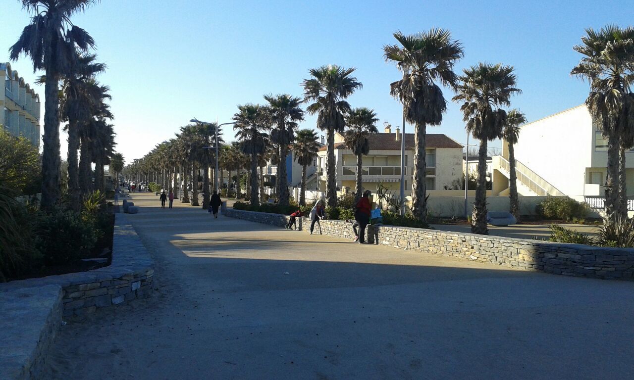 A coastal promenade lined with palm trees and buildings, featuring a wide, paved walkway and a stone wall on one side.