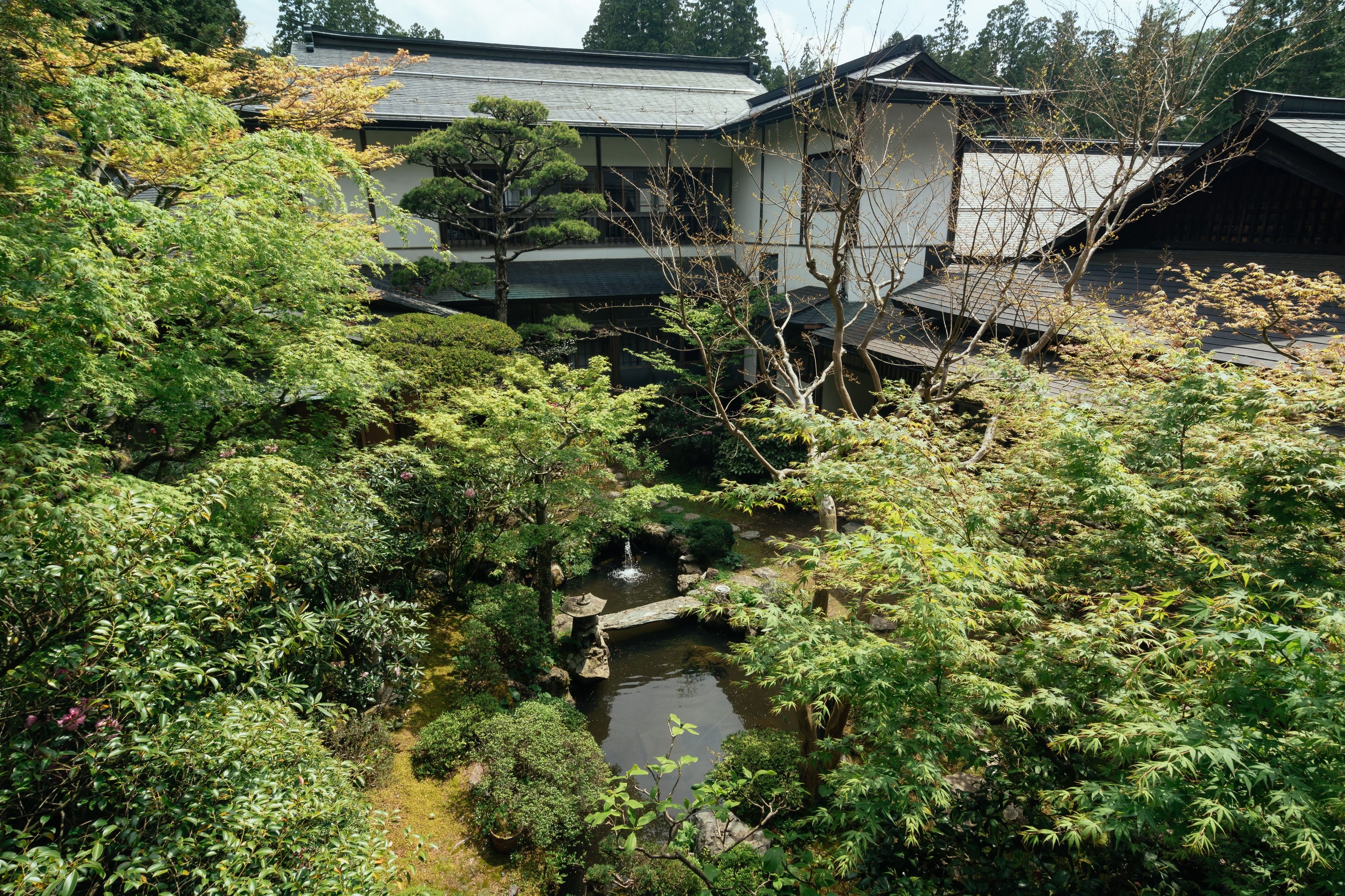 Un jardin japonais traditionnel avec un étang, entouré d’une végétation luxuriante et agrémenté d’un bâtiment doté d’un toit en tuiles.