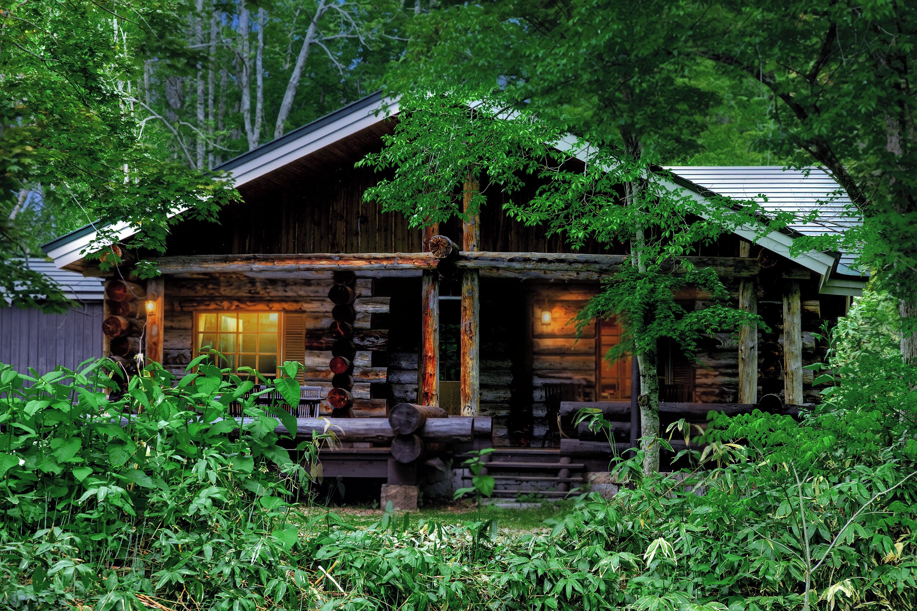 A rustic log cabin with a porch, surrounded by dense greenery.