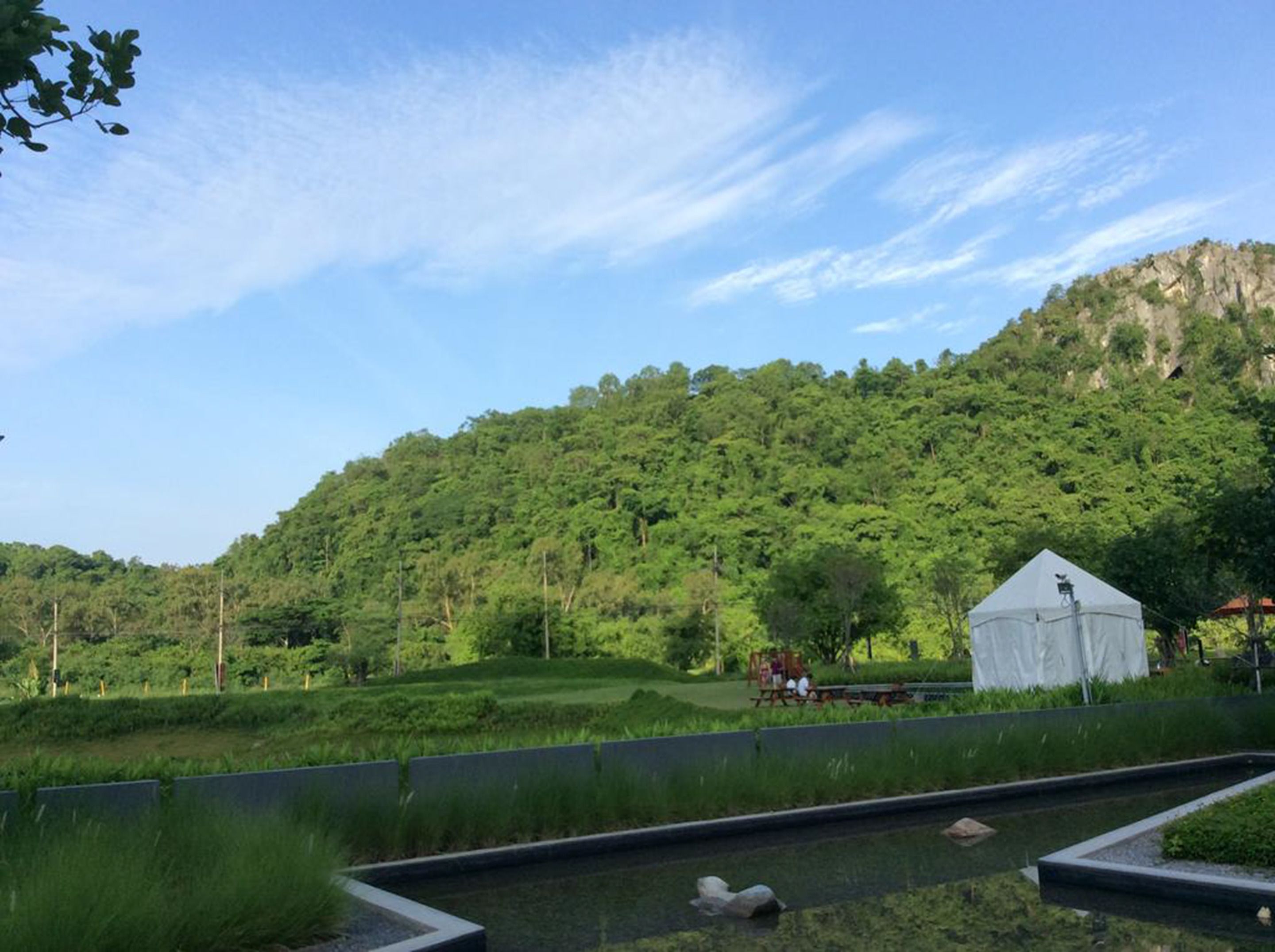 Un paisaje sereno con una tienda blanca, abundante vegetación y cielo despejado.