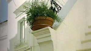 A narrow street with a white building featuring a yellow door and a window. A potted plant is mounted on the wall above the door. - L'antico Trullo (Fasano)