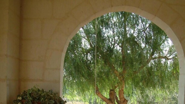 An outdoor seating area with wicker chairs and a large planter with green plants. - L'antico Trullo (Fasano)