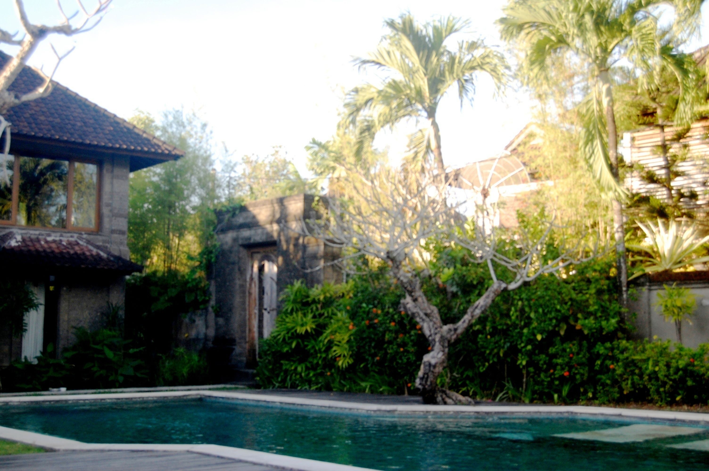 Uitzicht vanuit accommodatie