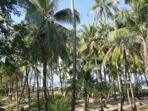 A beach with tall palm trees and a clear view of the ocean. - Kyaw Myanmar Hotel (Ngapali)