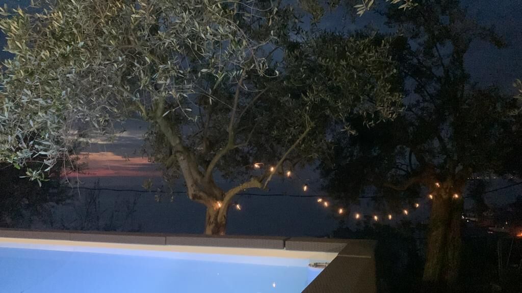 Un área de piscina exterior con un árbol y luces colgantes.