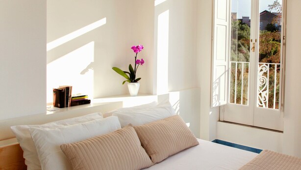 Ein Schlafzimmer mit einem Bett, Kissen, einem Fenster und einer Orchidee im Topf.