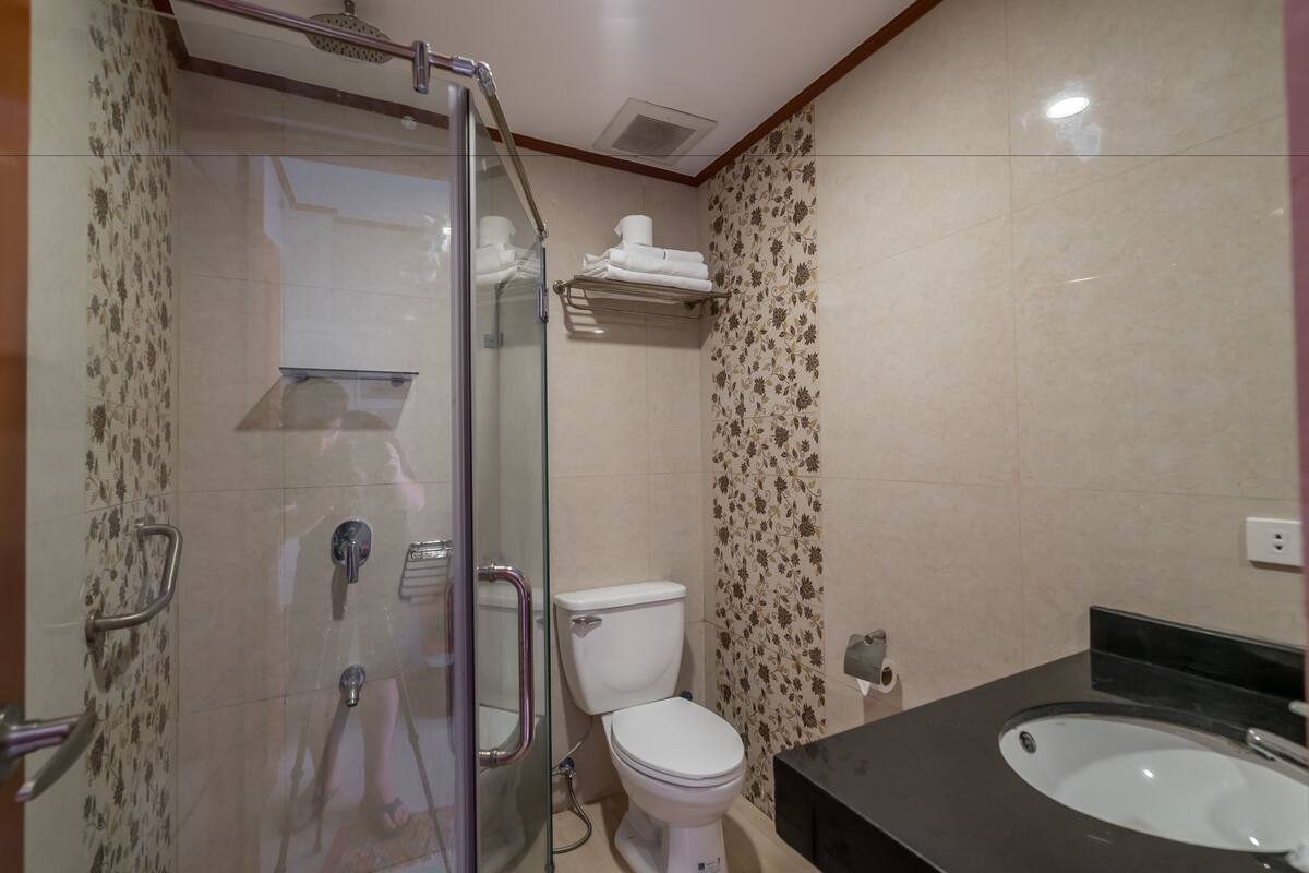 Een badkamer met een douche met glazen wand, een toilet en een wastafel.