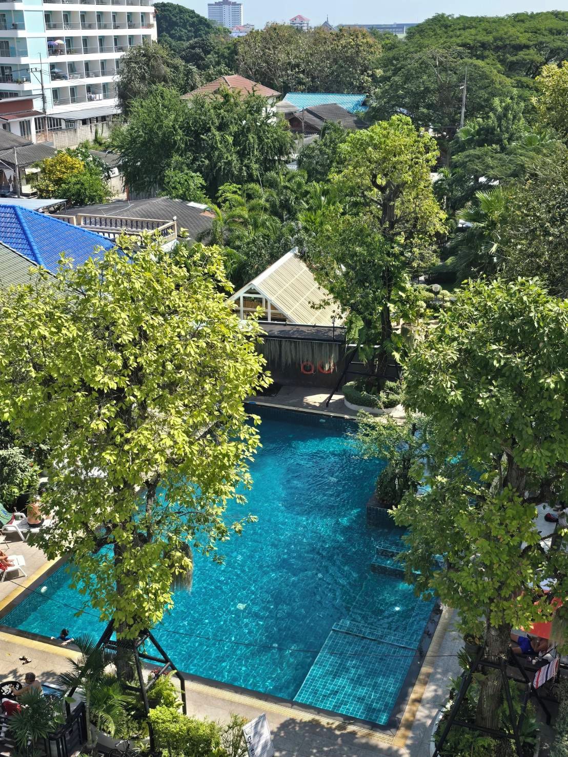 A swimming pool surrounded by lush greenery, with a building in the background.