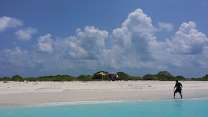 Plage, plongée sous-marine