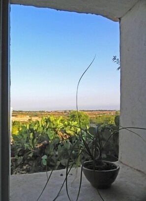 Apartment, 1 Bedroom | View from room