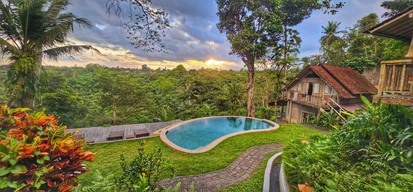Outdoor pool, pool umbrellas, sun loungers - Prashanti Ubud (Ubud)