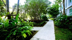 Ảnh chưa phân loại, 3 trong số 31 ảnh, nút
