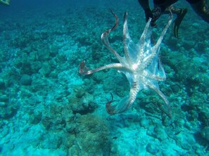 Instalaciones deportivas