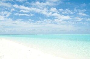 Beach nearby - Palm Garden (Thoddoo)