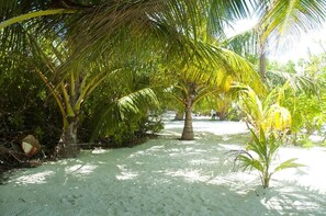 Beach nearby - Palm Garden (Thoddoo)