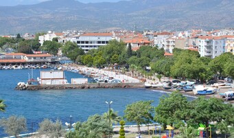 Vista desde la propiedad