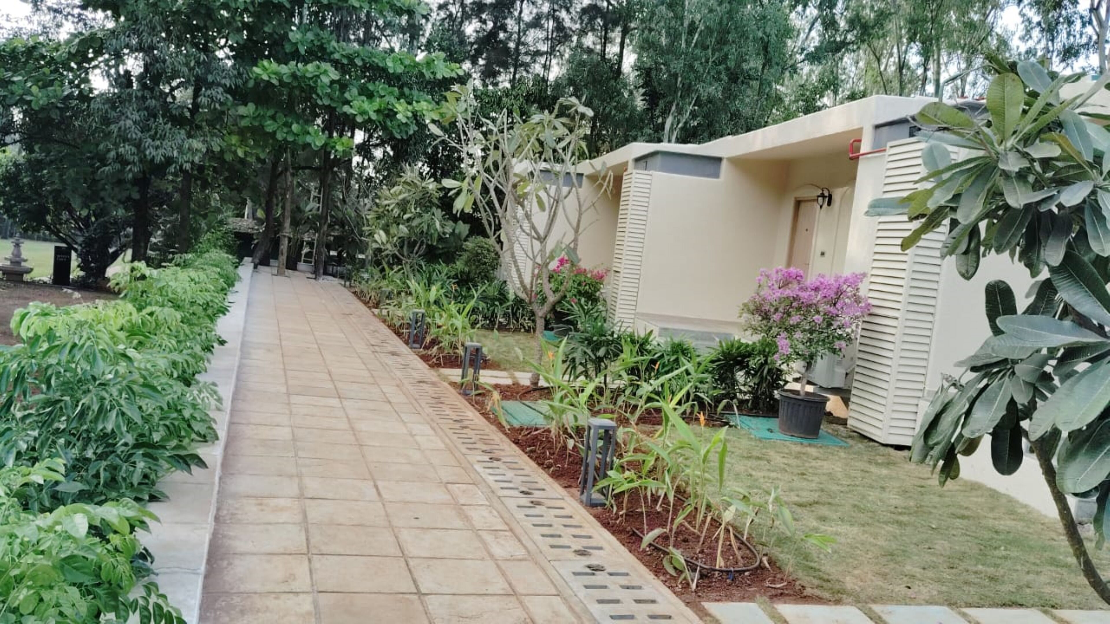 A pathway leading to a building with a garden area, including various plants and a small water feature.