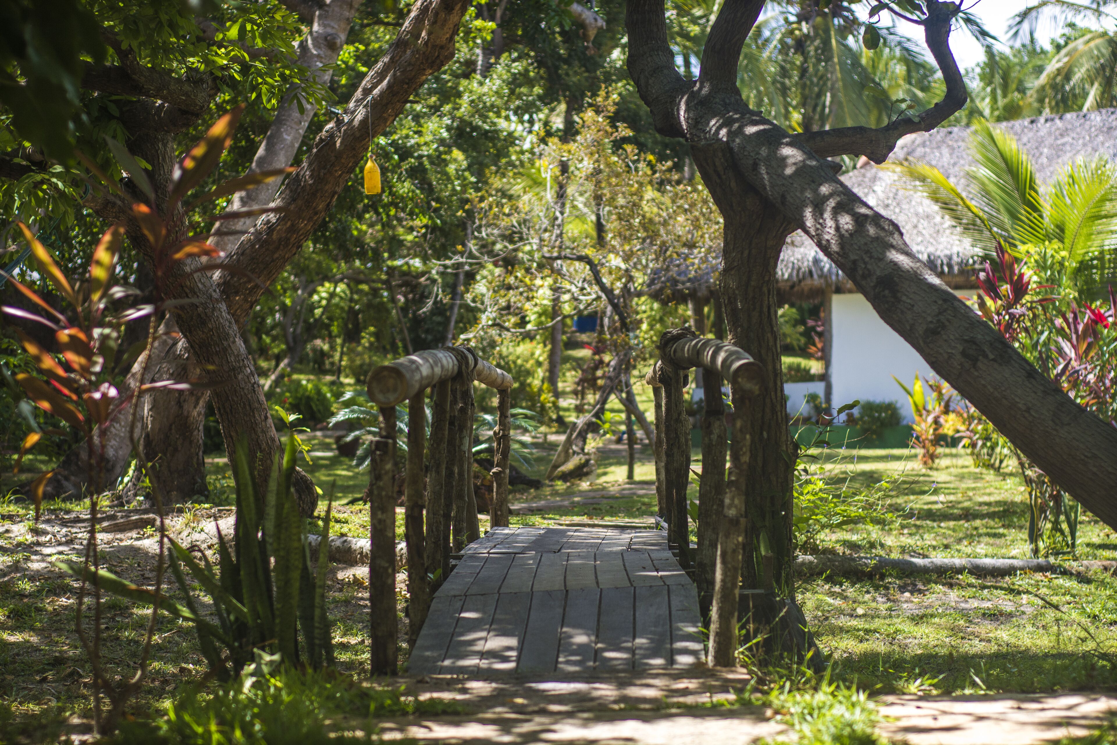 Vista desde la propiedad