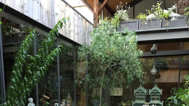 Um pátio externo acolhedor com mesa e cadeiras de madeira, rodeado por vegetação exuberante e plantas em vasos.