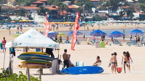 Una playa con sombrillas, sillas de playa y tablas de surf.