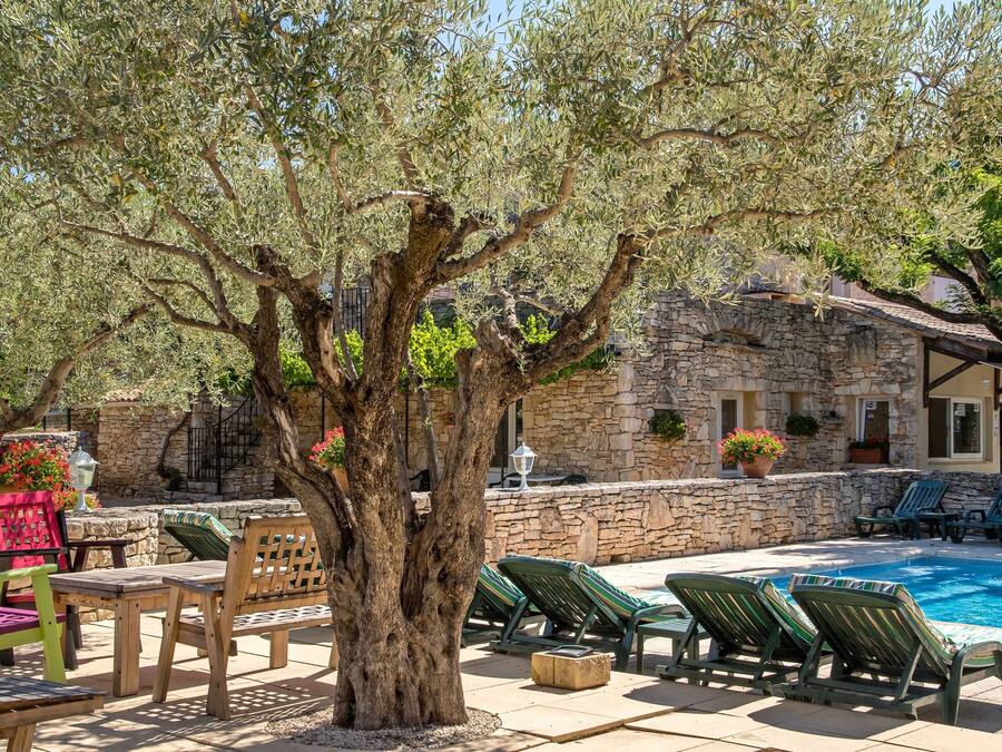 Piscina externa, guarda-sóis, espreguiçadeiras
