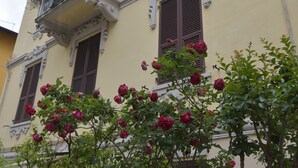 A multi-story building with ornate balconies, shutters, and a garden with red roses.