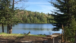 A lakeside campsite with a wooden bench and a picnic table, surrounded by dense forest and a calm lake. - QuickStay - Heavenly Cottage (Beautiful Lake Views) (Bracebridge)