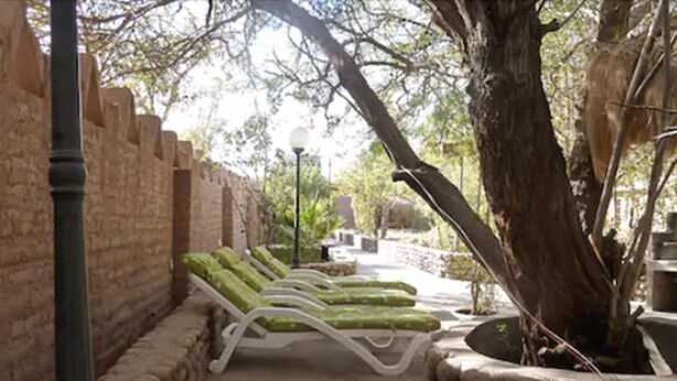 Une rangée de chaises longues blanches avec des coussins verts, un mur de pierre et un arbre dans un espace extérieur ombragé.