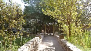 Un sentier pavé de pierres, avec un mur de pierres d’un côté et des arbres de l’autre.